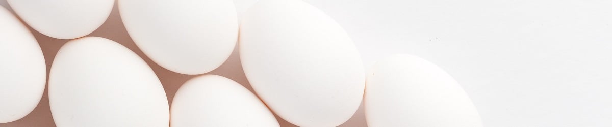 protein-rich white eggs